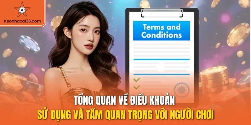 Tổng quan về điều khoản sử dụng và tầm quan trọng với người chơi